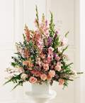  T�rkiye �i�ek yolla , �i�ek g�nder , �i�ek�i   Glayor karanfil Gerbera tanzim