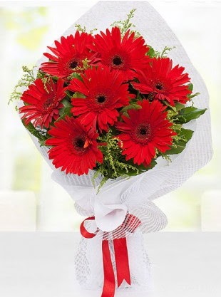 K�rm�z� Gelbera Buketi  T�rkiye ucuz �i�ek g�nder 