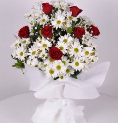 7 adet k�rm�z� g�l ve papatyalar krizantem  T�rkiye �i�ek sat��� 