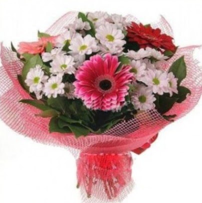 Gerbera ve k�r �i�ekleri buketi  T�rkiye ucuz �i�ek g�nder 