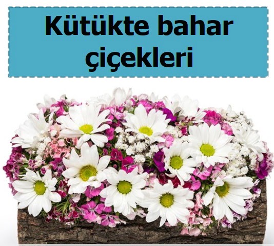 K�t�k i�erisinde k�r �i�ekleri  T�rkiye �nternetten �i�ek sipari�i 