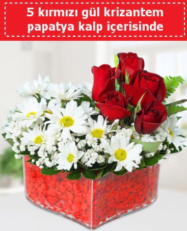 mika kalp i�erisinde 5 k�rm�z� g�l papatya  T�rkiye yurti�i ve yurtd��� �i�ek sipari�i 