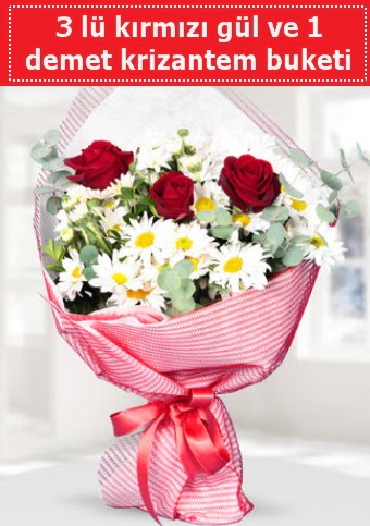 3 adet k�rm�z� g�l ve krizantem buketi  T�rkiye kaliteli taze ve ucuz �i�ekler 