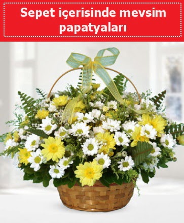 Sepet i�erisinde mevsim papatyalar�  T�rkiye �i�ek g�nderme sitemiz g�venlidir 