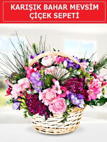 Kar���k mevsim bahar �i�ekleri  T�rkiye �i�ek g�nderme sitemiz g�venlidir 