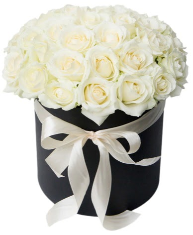 41 adet �zel kutuda beyaz g�l  T�rkiye �i�ek yolla , �i�ek g�nder , �i�ek�i   s�per g�r�nt� 