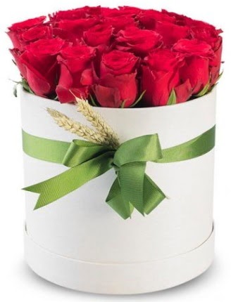 �zel kutuda 25 adet k�rm�z� g�l �i�e�i  T�rkiye �i�ek yolla , �i�ek g�nder , �i�ek�i  