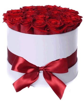 33 adet k�rm�z� g�l �zel kutuda k�z isteme   T�rkiye �i�ek , �i�ek�i , �i�ek�ilik 