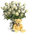  T�rkiye �i�ek�iler  Beyaz g�ller ve oyuncak