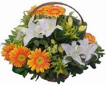  T�rkiye �i�ek online �i�ek sipari�i  sepet modeli Gerbera kazablanka sepet